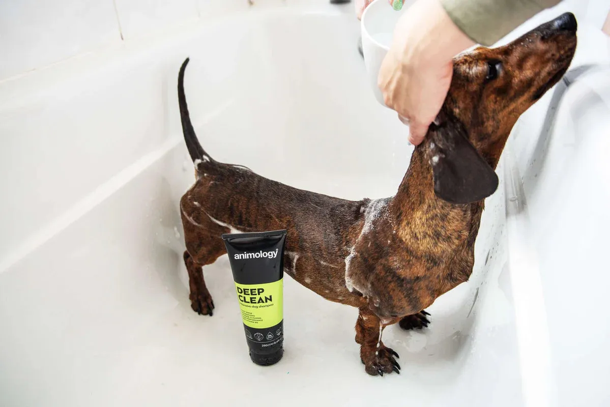 Animology - Deep Clean Shampoo