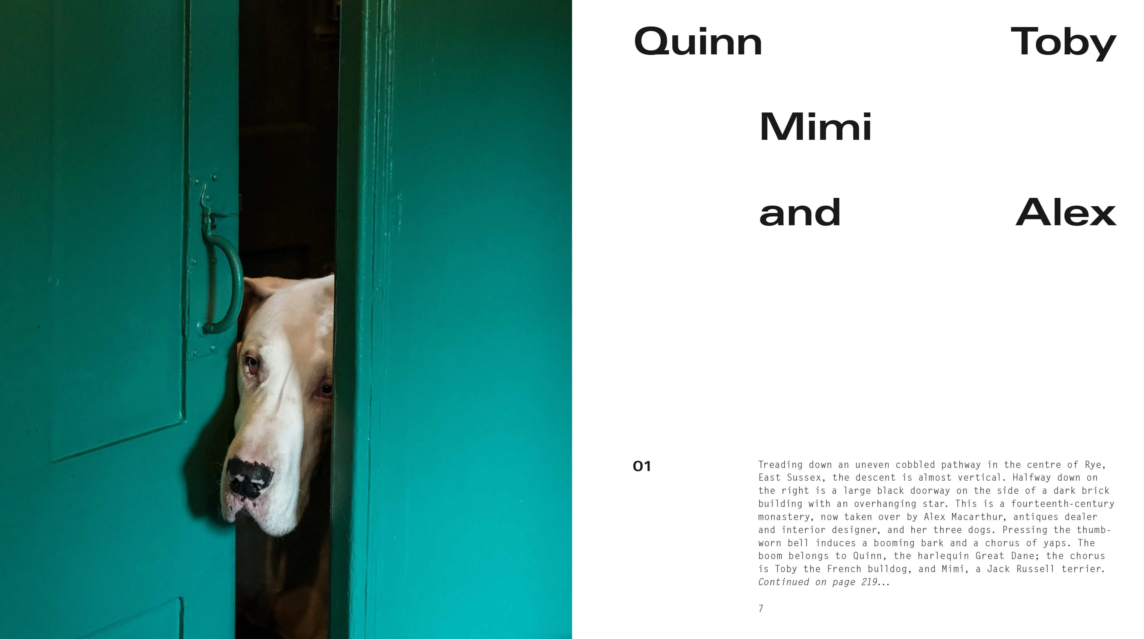 DOGS AT HOME
