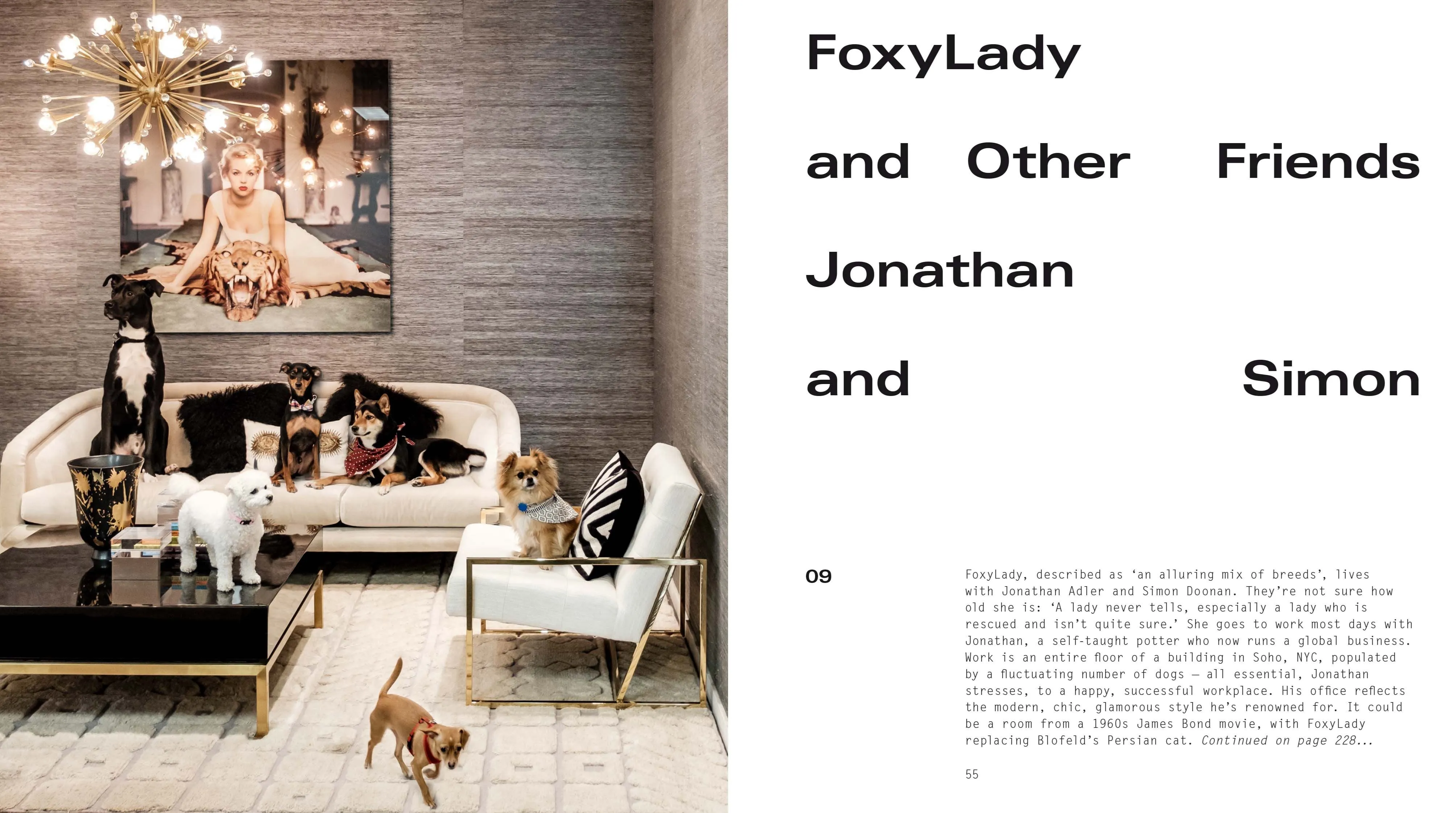 DOGS AT HOME