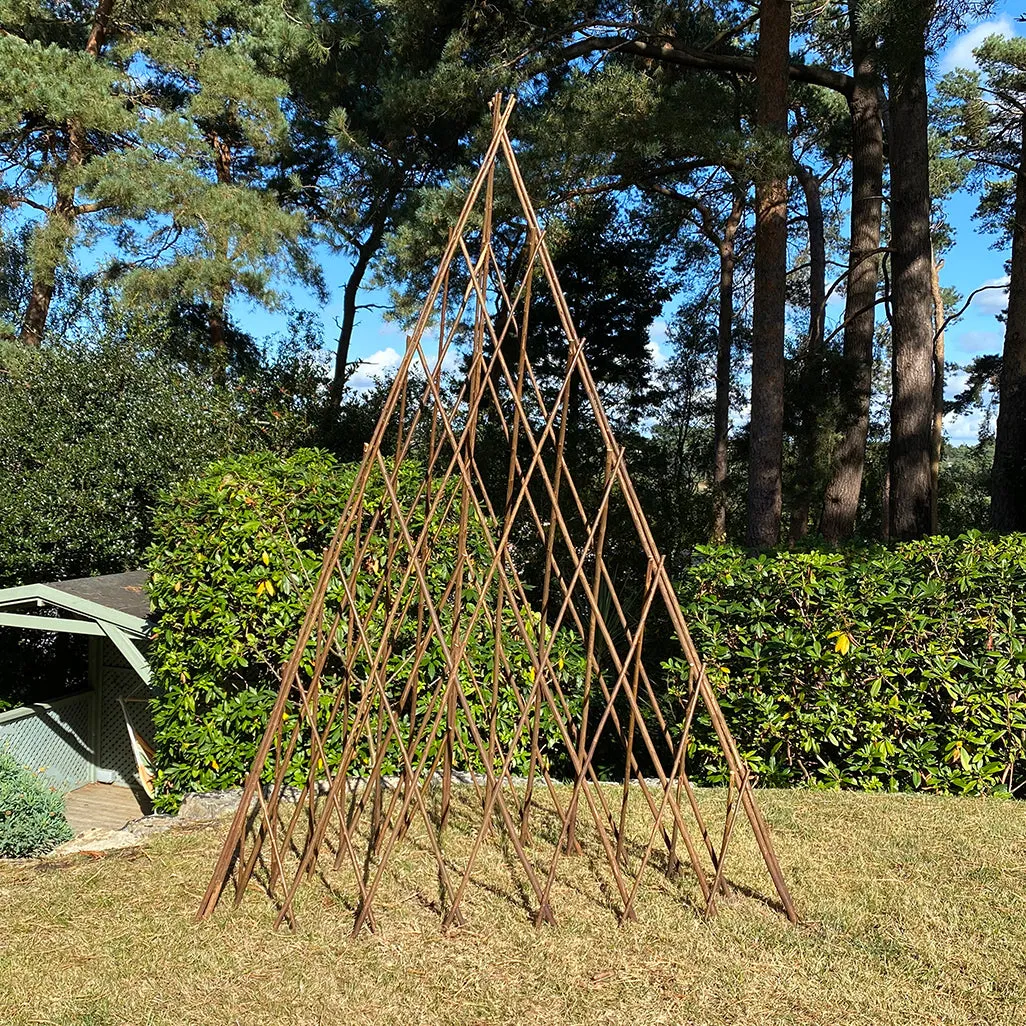 Expanding Willow Garden Obelisk (1.5m)