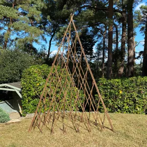 Expanding Willow Garden Obelisk (1.5m)