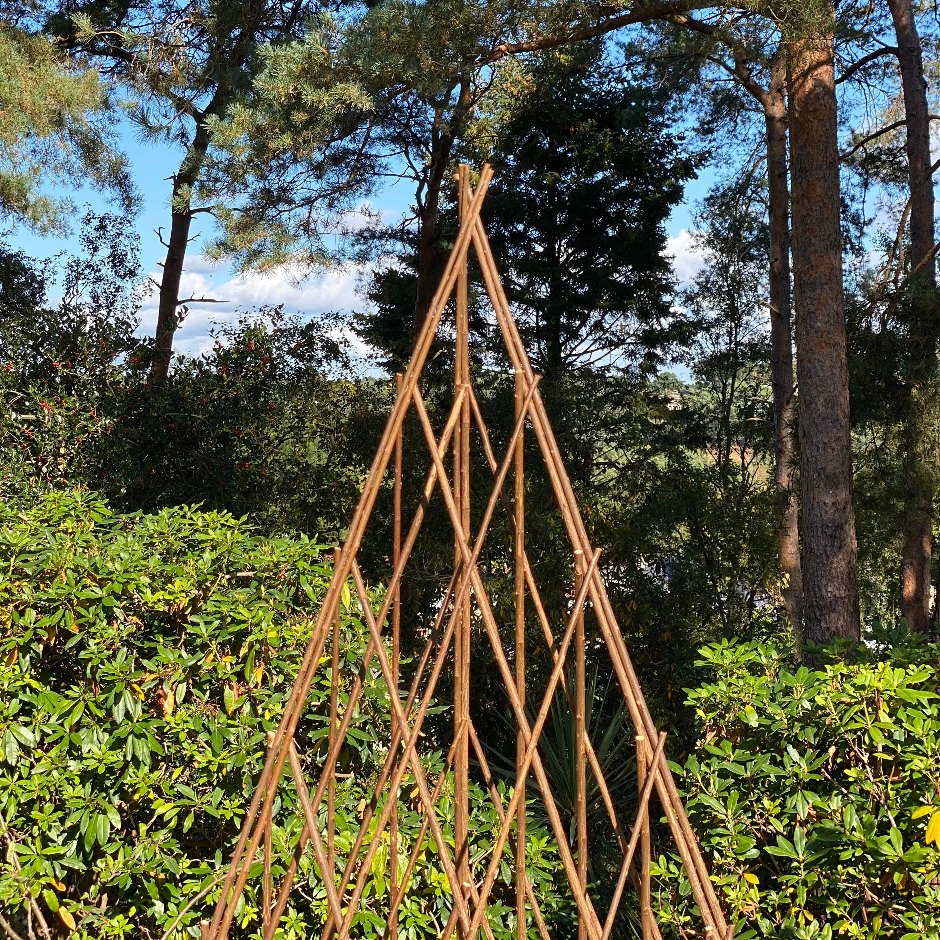 Expanding Willow Garden Obelisk (1.5m)