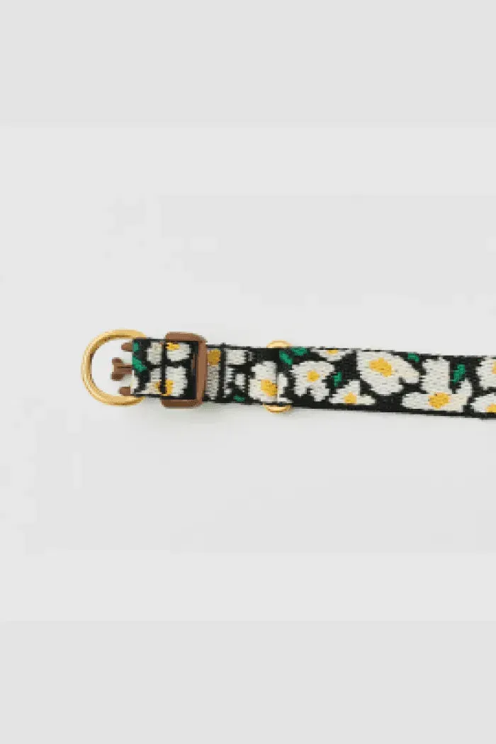 Gentle Dog Collar - Big Fish
