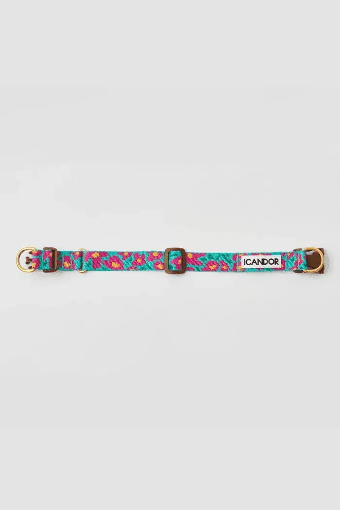 Gentle Dog Collar - Big Fish