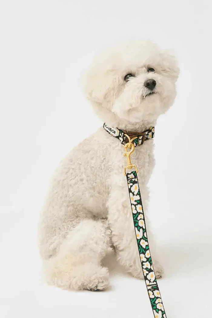 Gentle Dog Collar - Big Fish