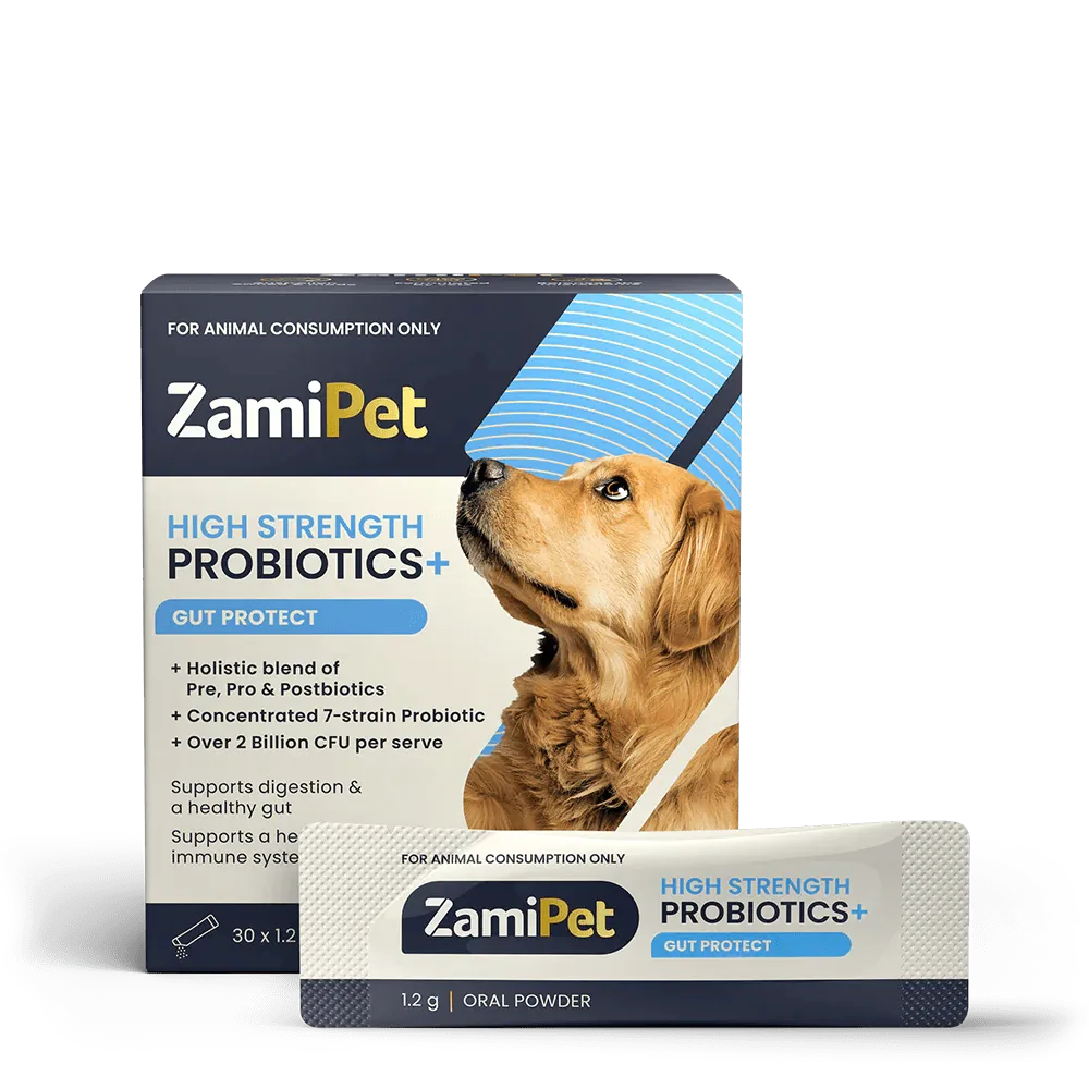 High Strength Probiotics 