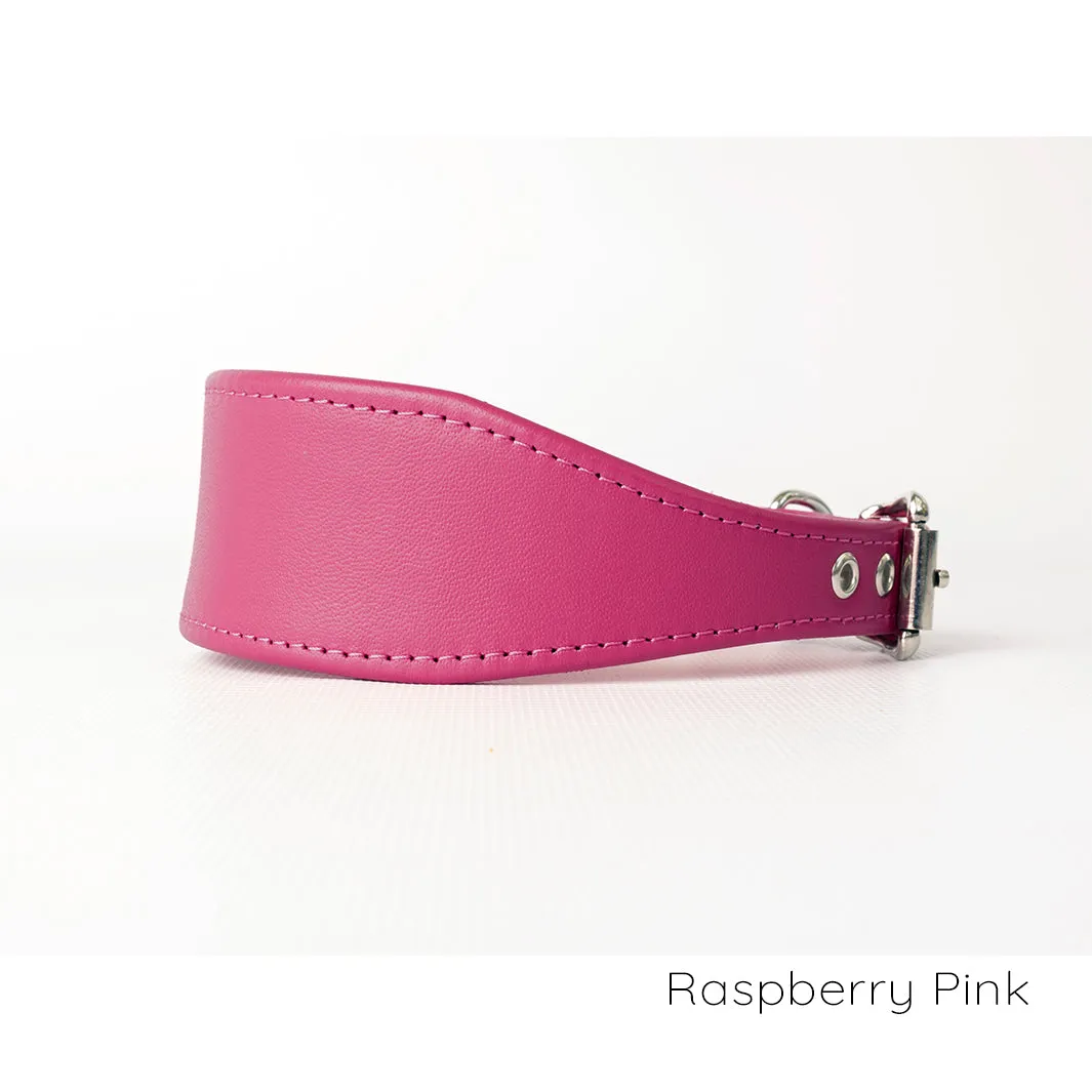 Leather Italian Greyhound Dog Collars by Petiquette