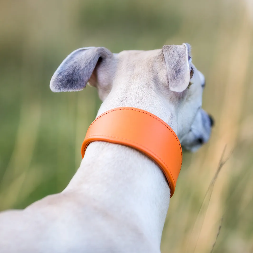 Leather Whippet Collars by Petiquette