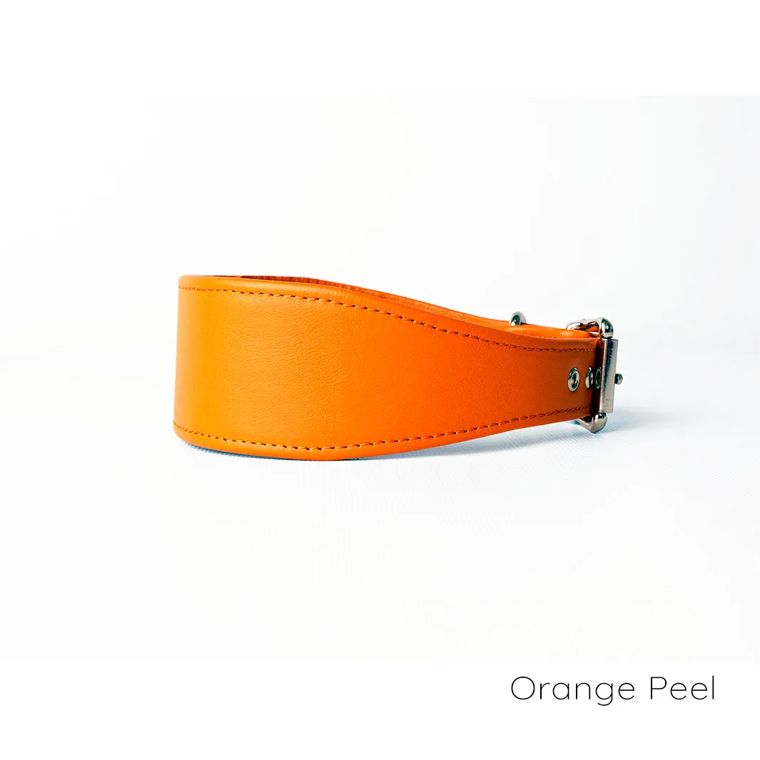 Leather Whippet Collars by Petiquette