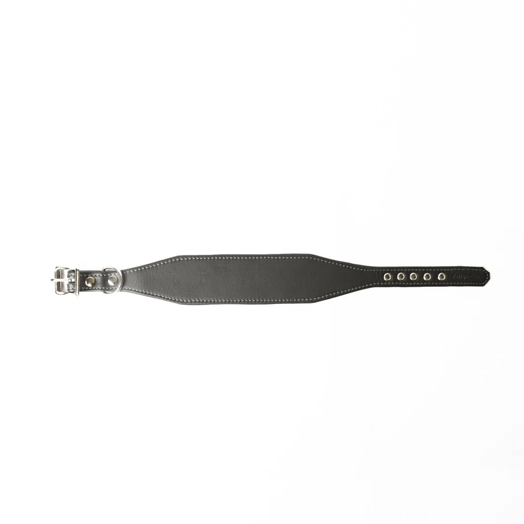 Leather Whippet Collars by Petiquette