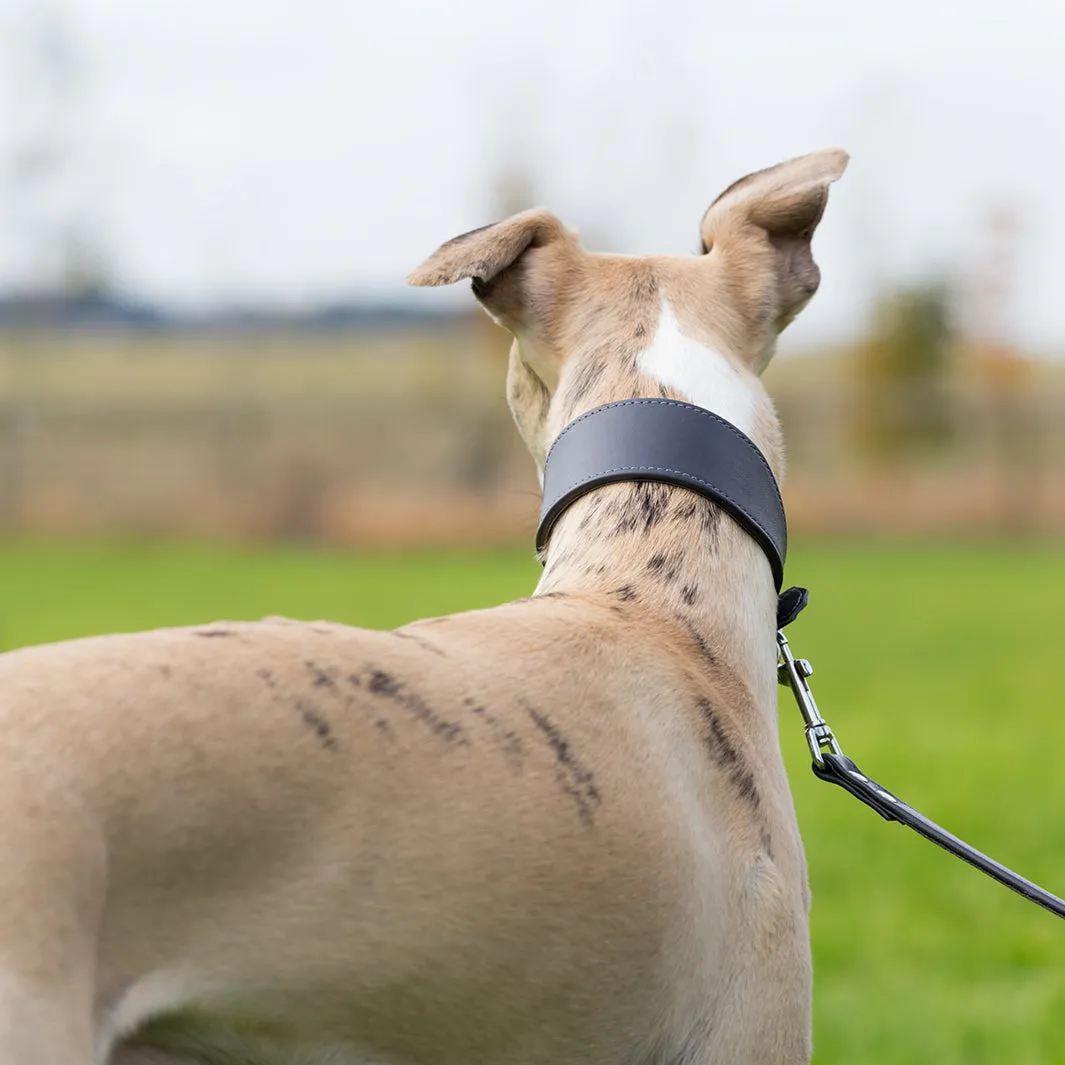 Leather Whippet Collars by Petiquette