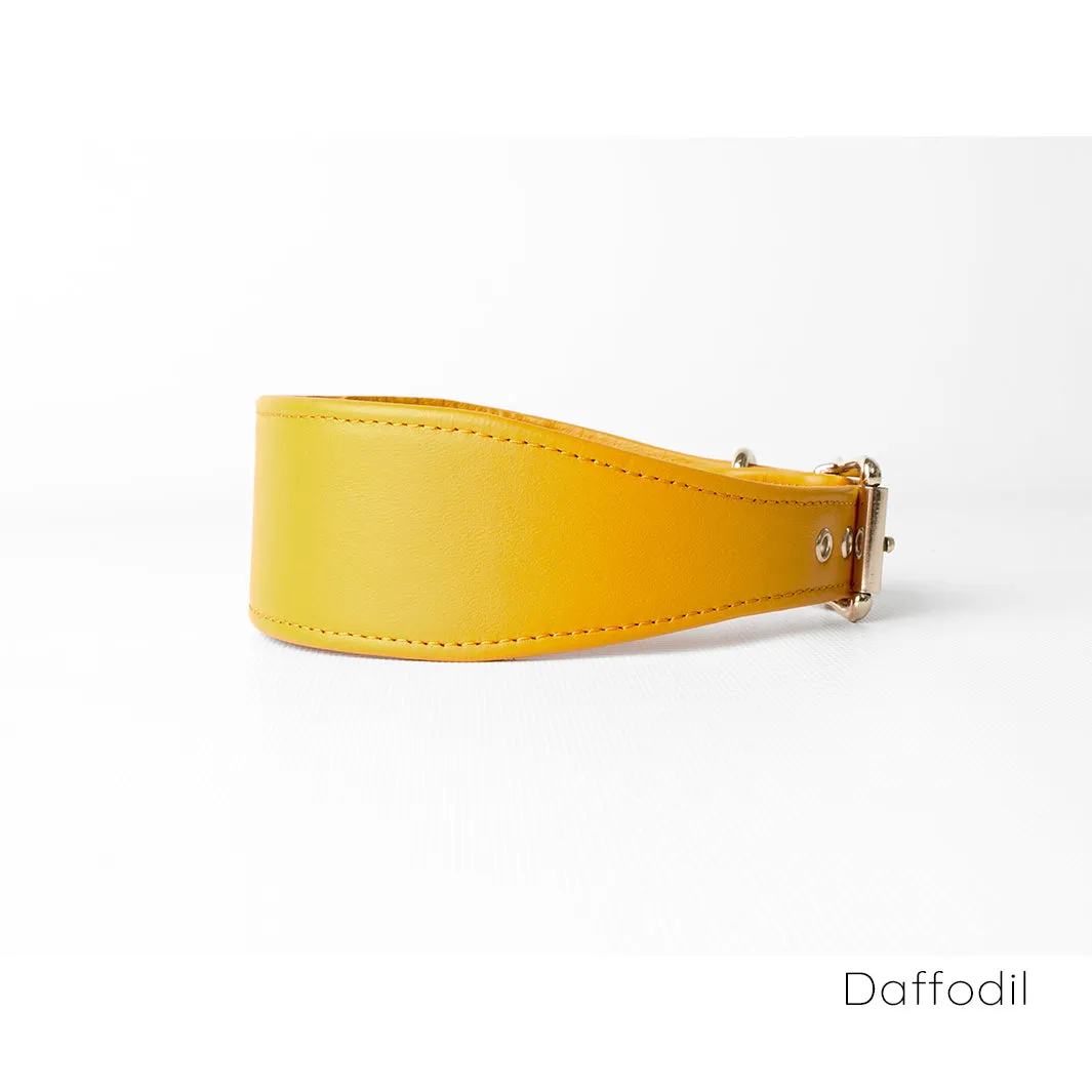 Leather Whippet Collars by Petiquette