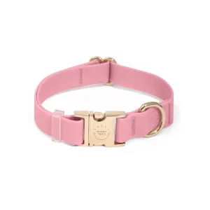 Perfect Pink Waterproof Collar