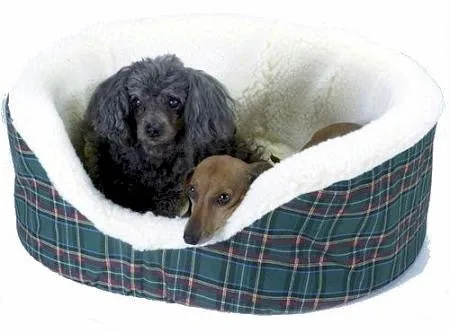 Pet Couch - Giant-  Red