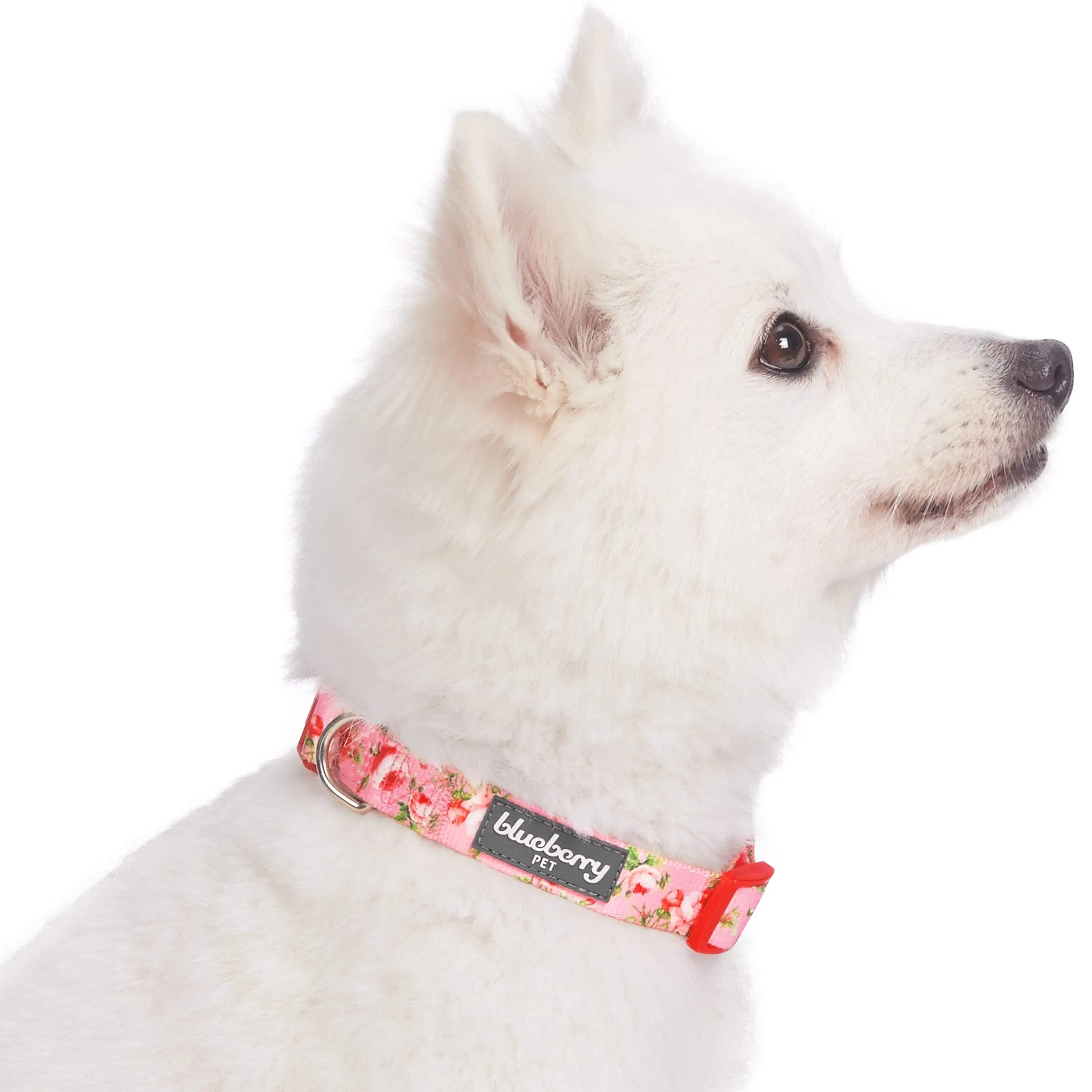 Petal Paws Floral Dog Collar