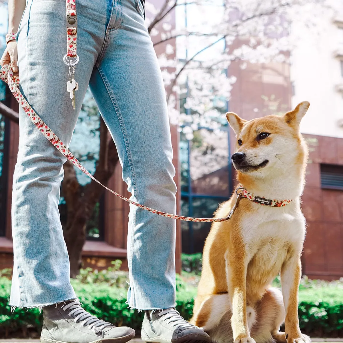 Petal Paws Floral Dog Collar