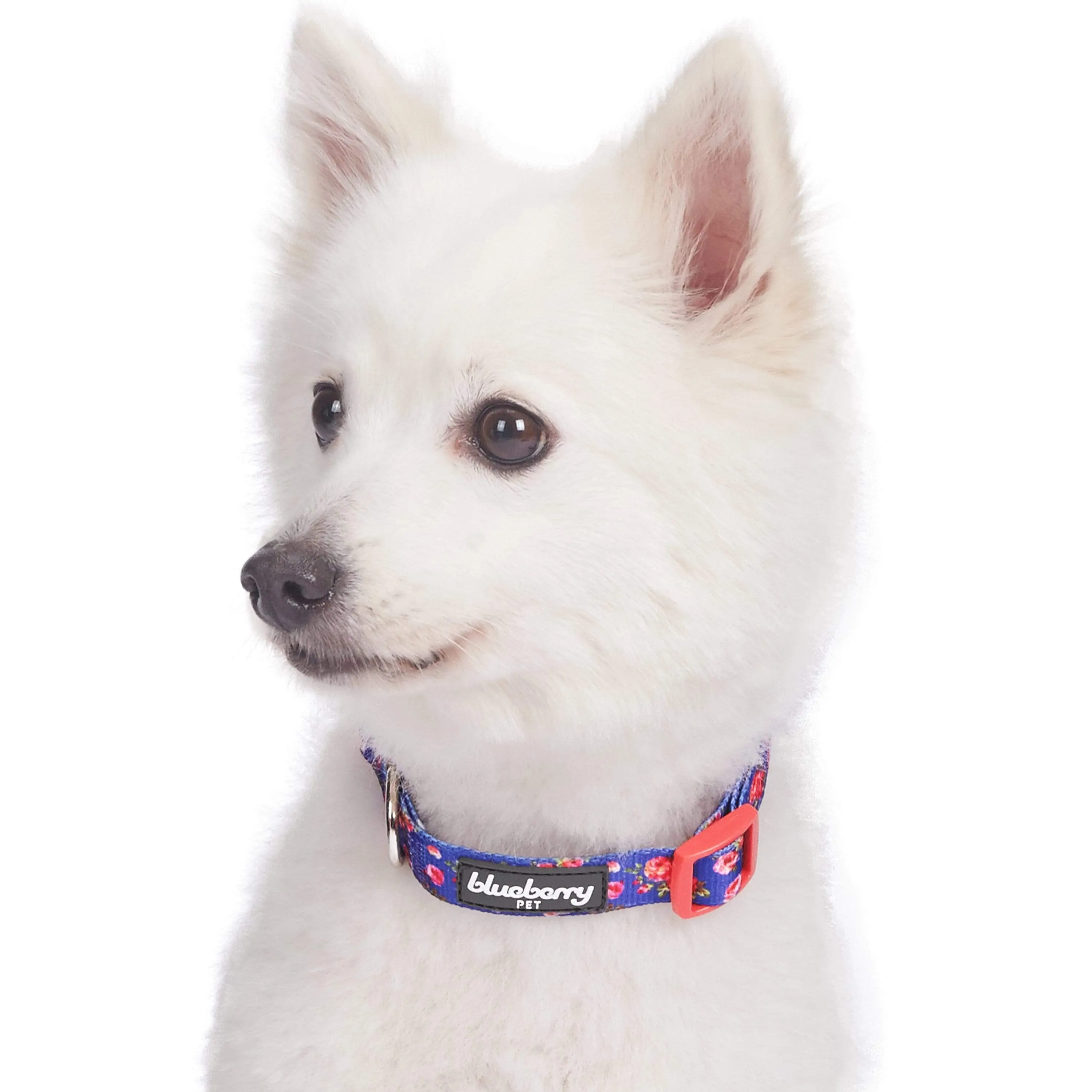Petal Paws Floral Dog Collar