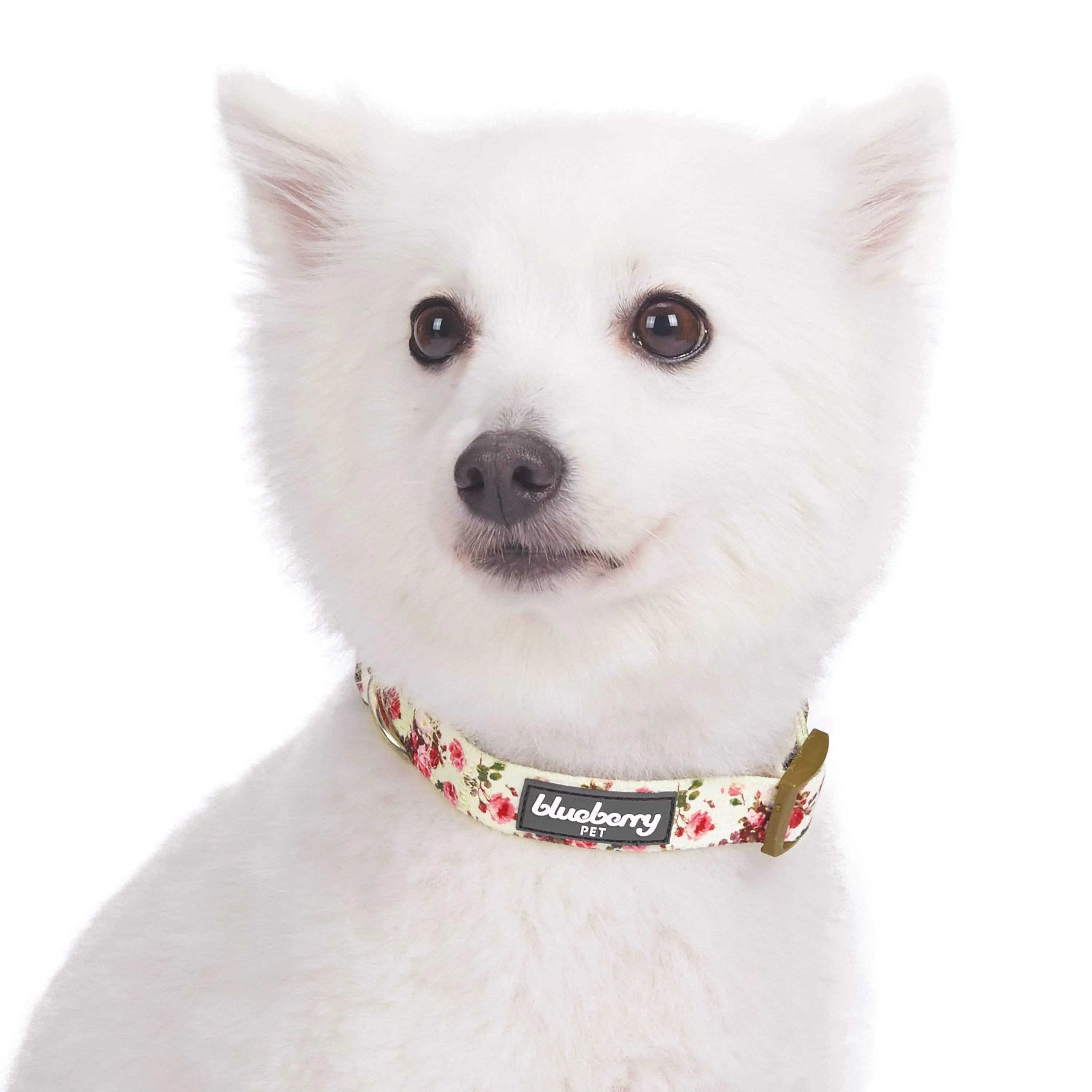 Petal Paws Floral Dog Collar