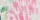 Pink Papyrus Isabella Collar, Floral