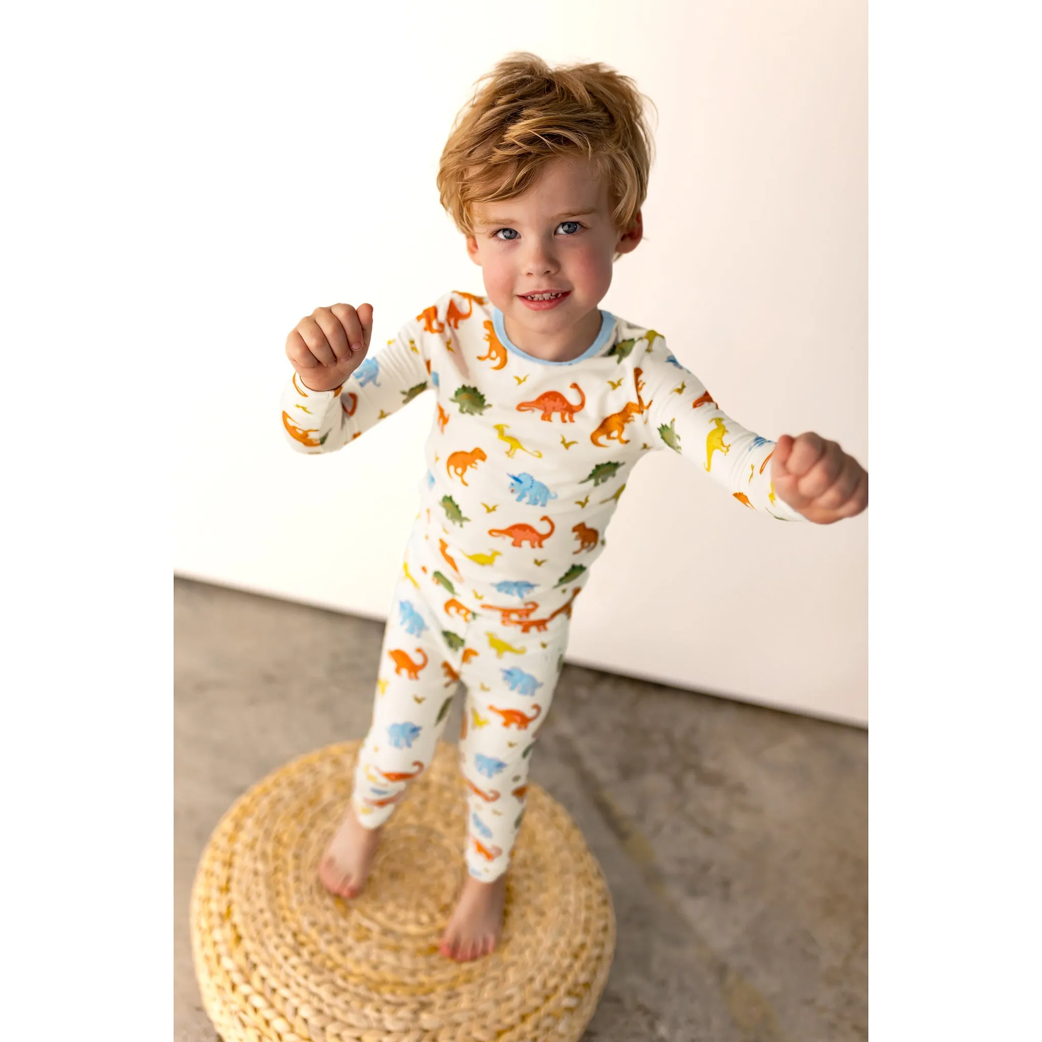 Powder Blue Jurassic Crew Long Sleeve Pajama Set (2T-12Y)