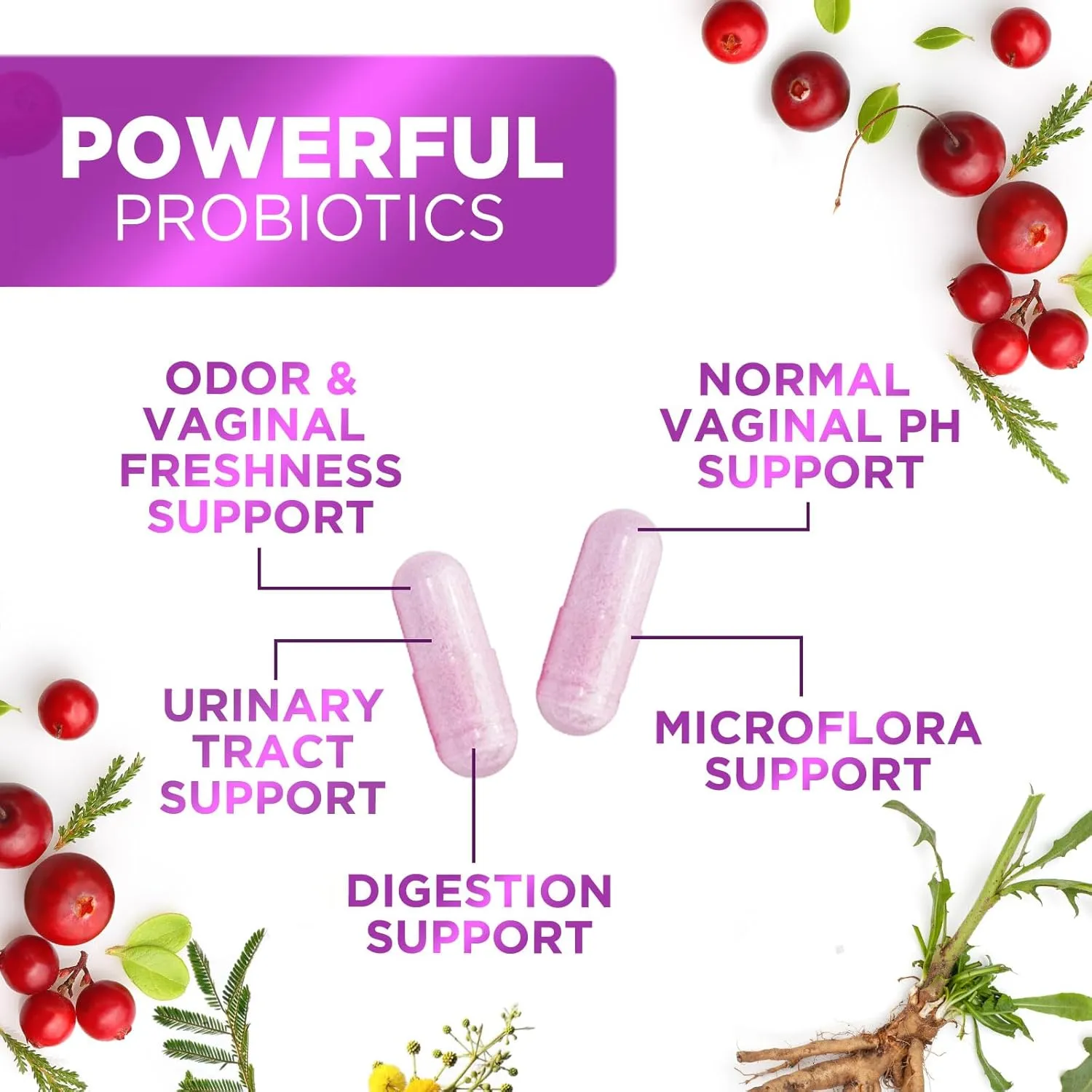 Probiotics for Women with Prebiotics & Cranberry, 50 Billion CFU, Vaginal Women's Probiotic for Immune & Digestive Health, D-Mannose for Urinary Health, Shelf Stable No Soy Gluten Dairy - 60 Capsules