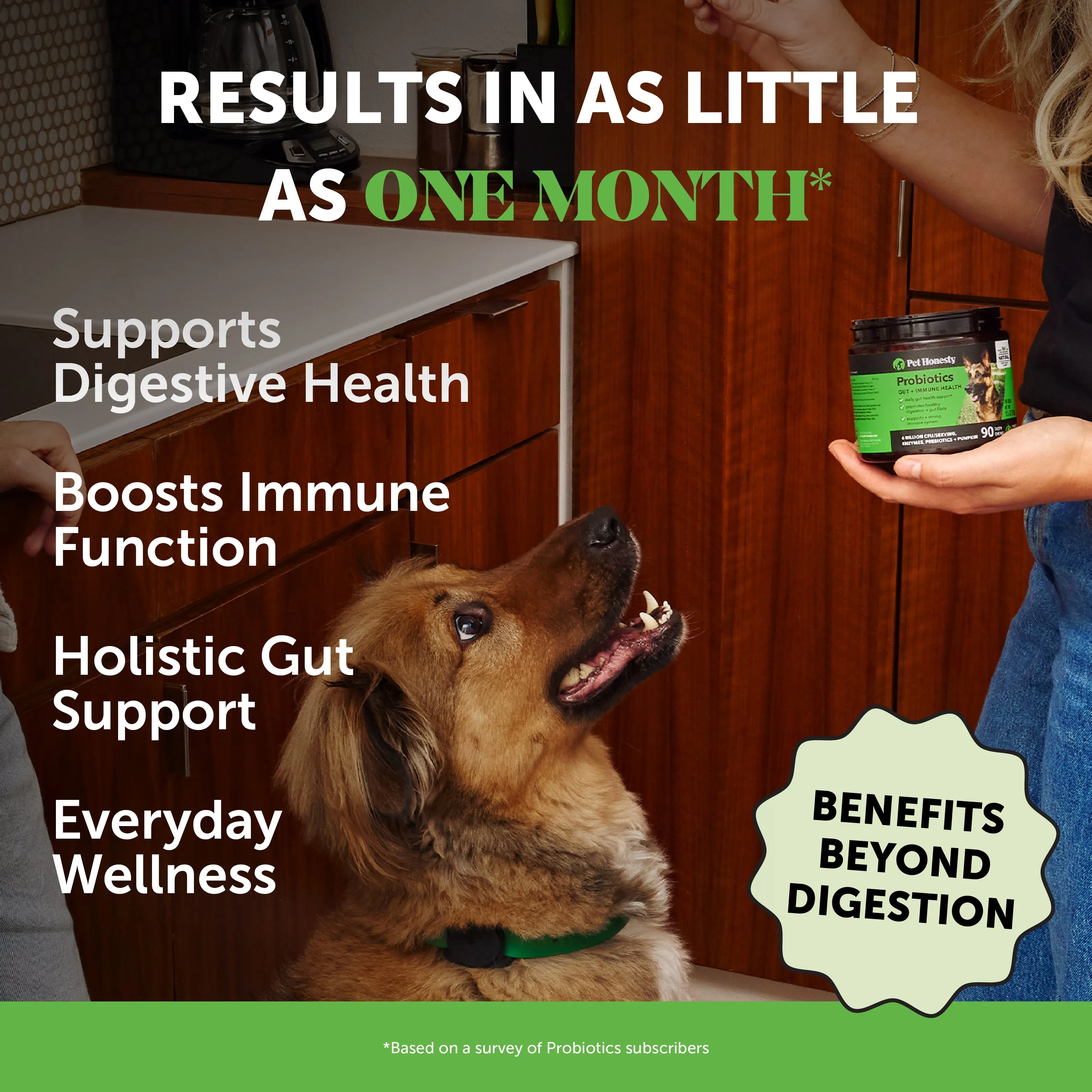 Probiotics Gut   Immune Health 3-Pack (Pumpkin Flavor)