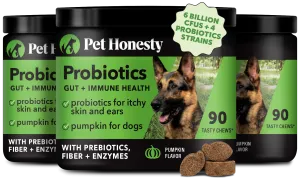 Probiotics Gut   Immune Health 3-Pack (Pumpkin Flavor)