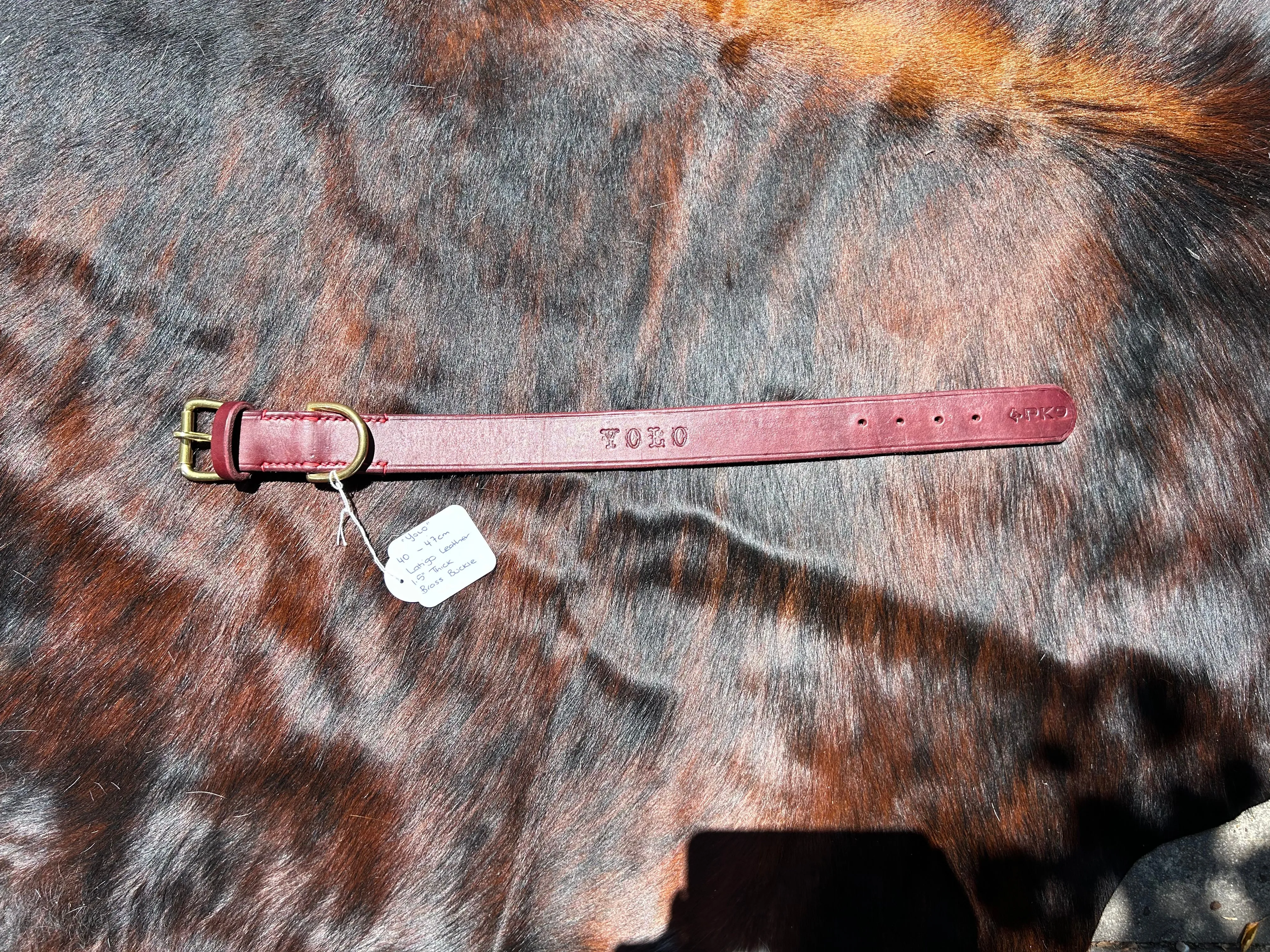 "YOLO"