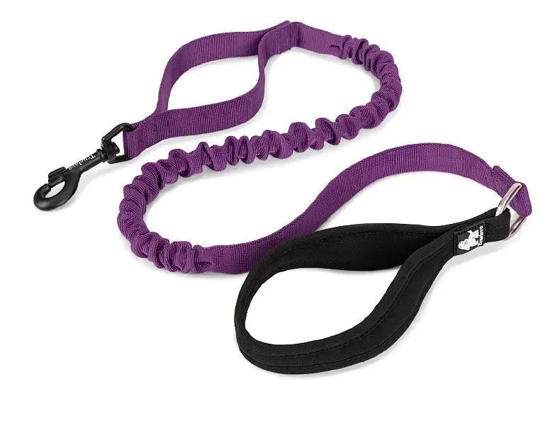 Shock Absorbing Training Leash