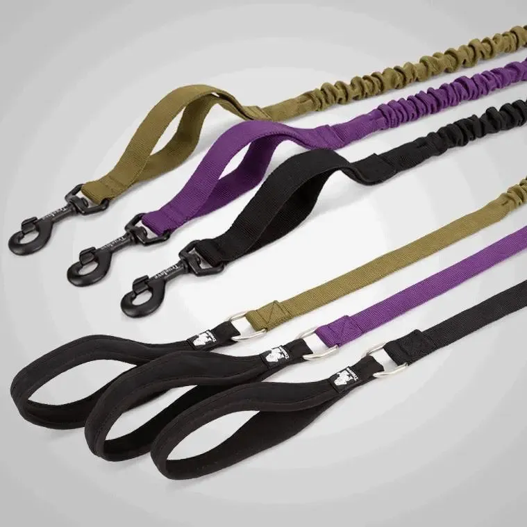Shock Absorbing Training Leash