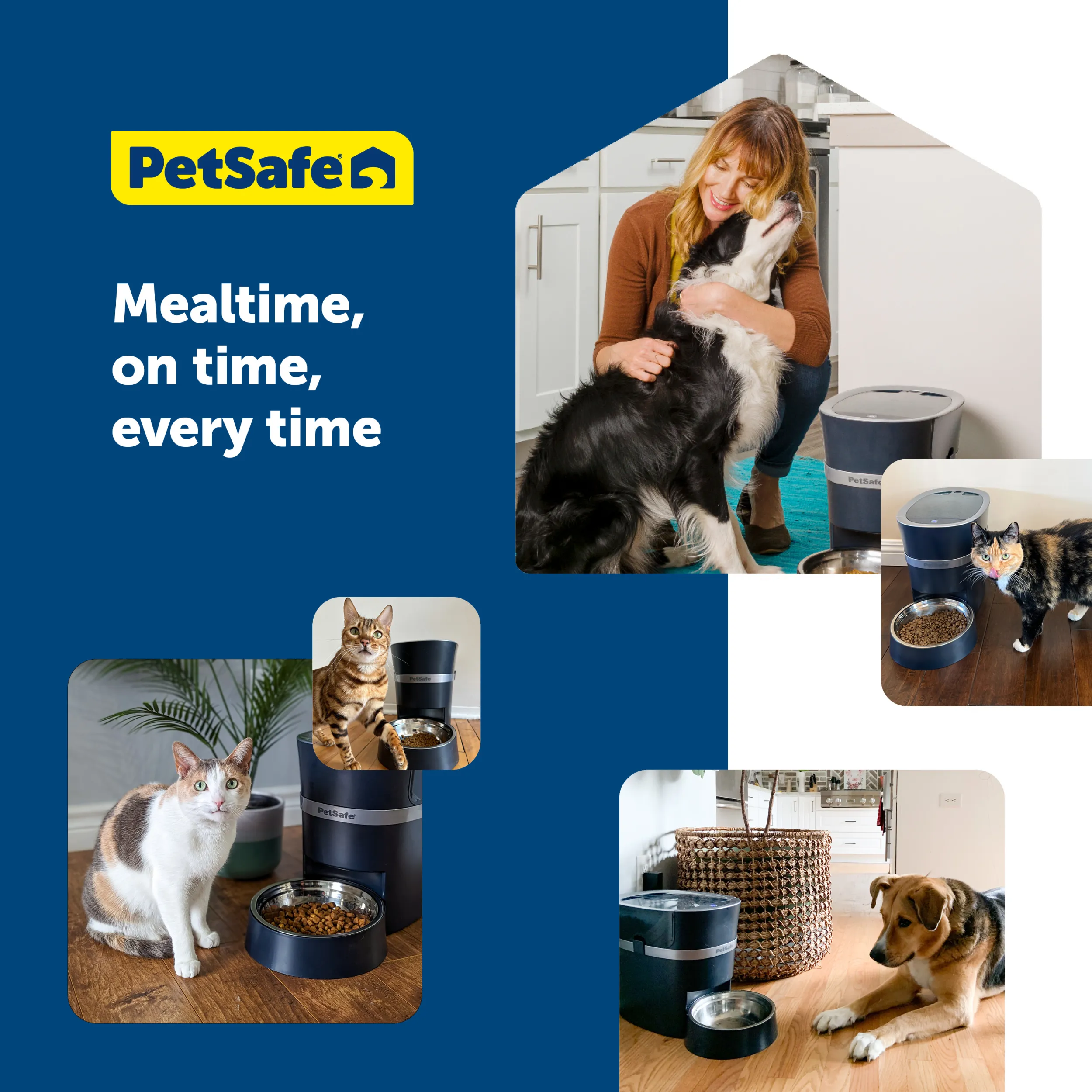 Smart Feed Automatic Dog and Cat Feeder, 2nd Generation