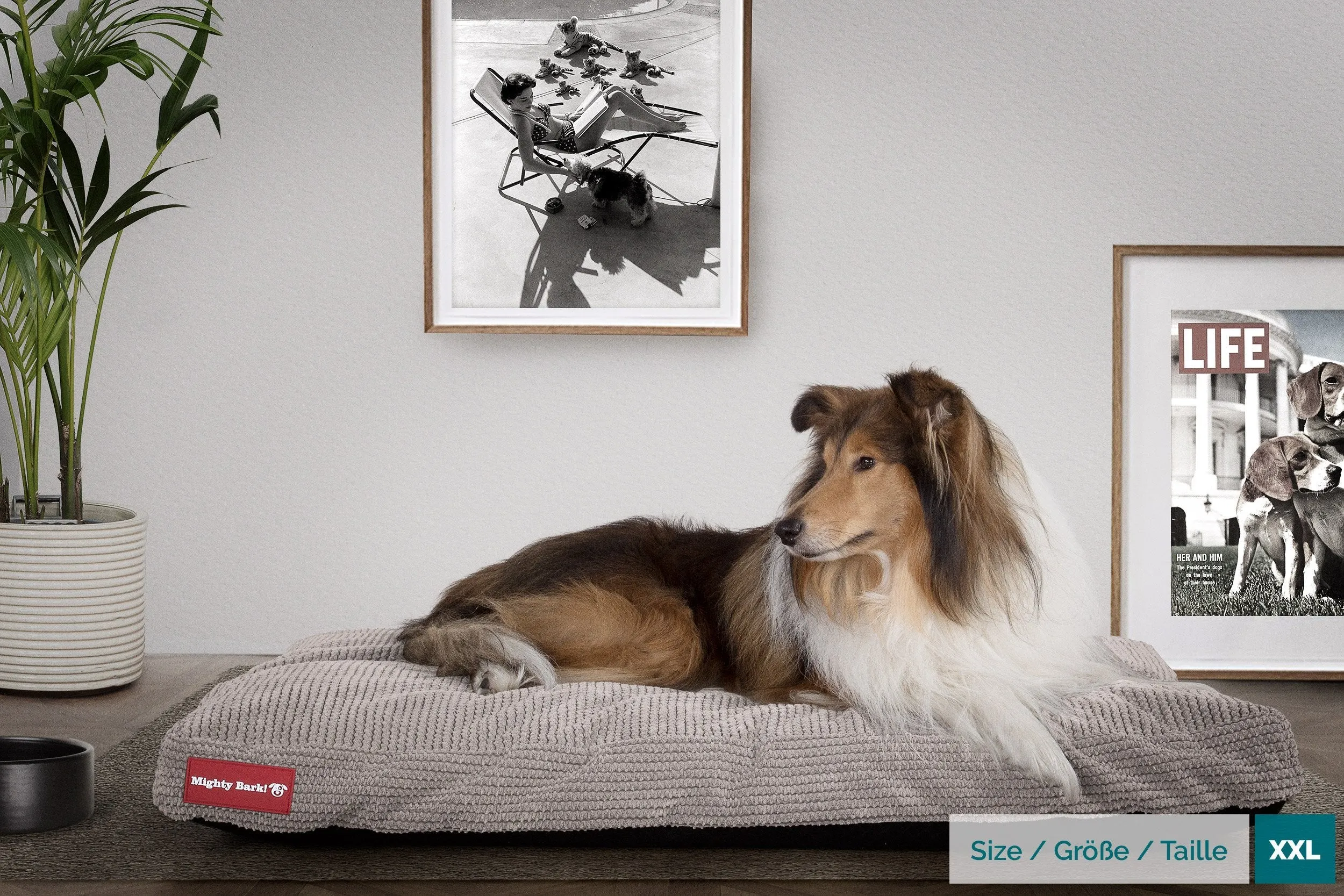 The Mattress - Orthopedic Classic Memory Foam Dog Bed - Pom Pom Mink