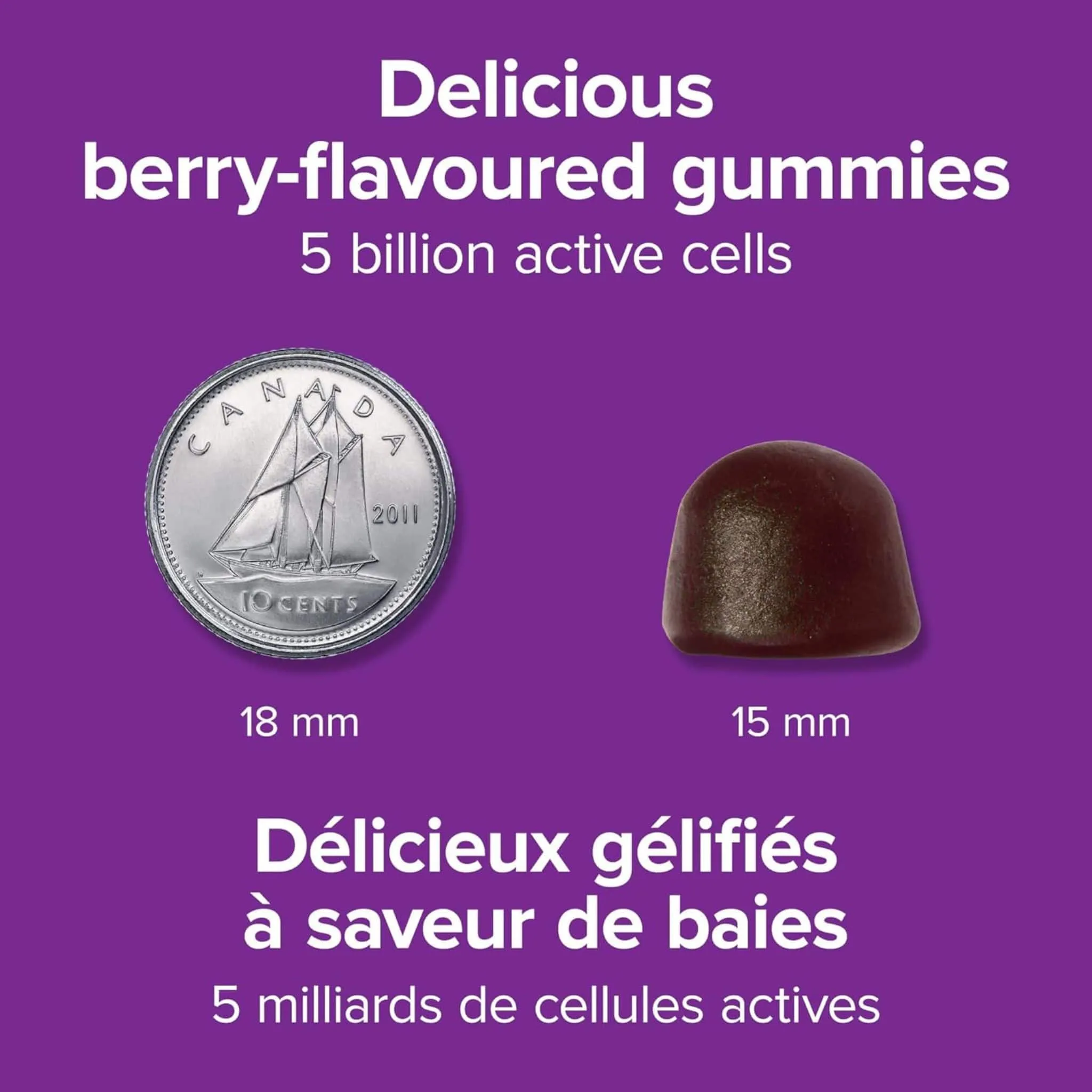 Webber Naturals Probiotic 5 Billion Gummies, Helps Support Digestive Health and Reduce Occasional Constipation, Shelf-Stable, 60 Gummies